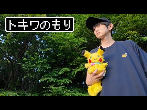 【ポケポケ】5連勝するまで"トキワのもり"から出られません【本郷奏多の日常】