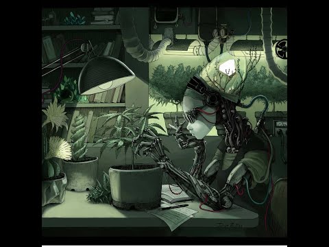 Indoor Grow MMJ Weekly Update: Week 3 of Flower