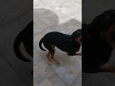 Vídeo de Sky