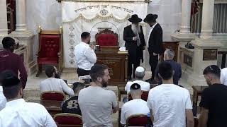 🕊️ הרב ישי פרי שליט״א -השיעור השבועי | פרשת ראה תשפ״ה