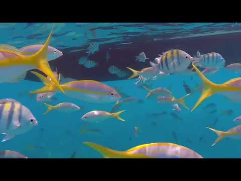 Sombrero Reef Snorkeling