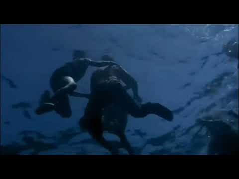 SpazioPoeticoCONtatto Etereo Respiro