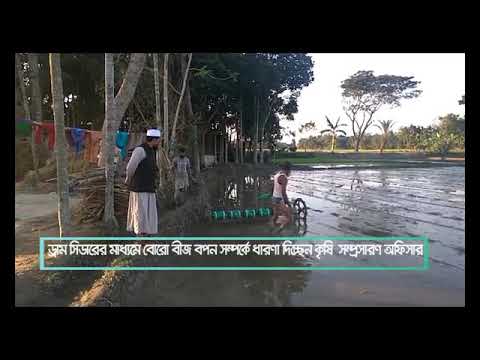 ড্রাম সিডারের সাহায্যে বীজ বপন