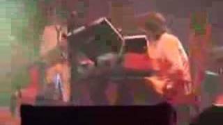 Guillemots - Trains to Brazil