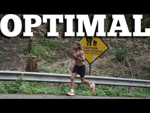 Optimal Training Structure: Twice a Week vs. Three Times a Week