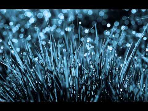 Jan P. Muchow - Příroda po dešti