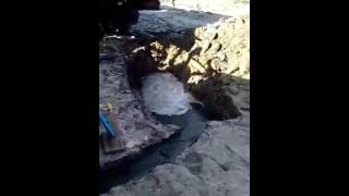 Май 2016. Брянская обл.