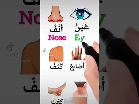 Learn Body Parts in Arabic and English with Pictures | Arabic for Beginners