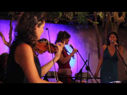 Amnésie Internationale - MON POTE (Polo)