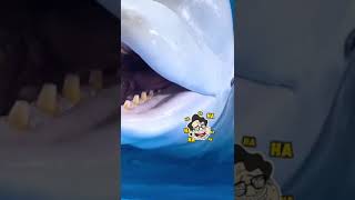 Download lagu lumba lumba menyikat giginya mp3 Download lagu lumba lumba menyikat giginya mp3