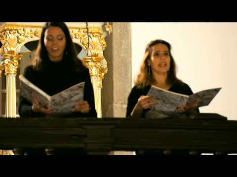 | DIRETO | Festival Órgão Algarve´21 - Faro (encerramento)