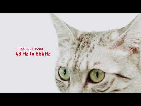 Royal Canin FHN Cat Sensory Taste Gravy 12x85 g video