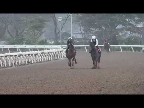 {{itemName}}_video_thumbnail