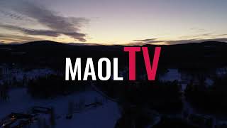 Vintertäckt skog i skymning