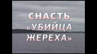 Снасть орех с дробью на жереха