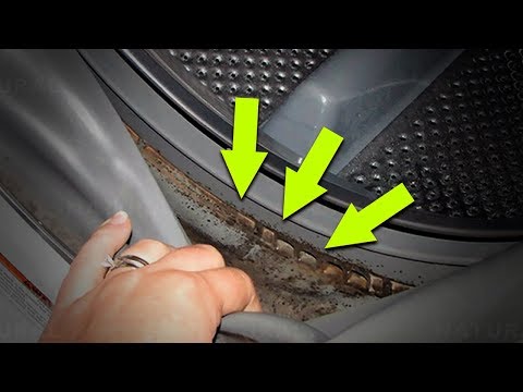 download lagu mp3 mp4 How To Clean Washing Machine Rubber, download lagu How To Clean Washing Machine Rubber gratis, unduh video klip How To Clean Washing Machine Rubber