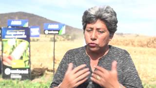 preview picture of video 'Trilla de maíz en Ocotlán, Jal.'