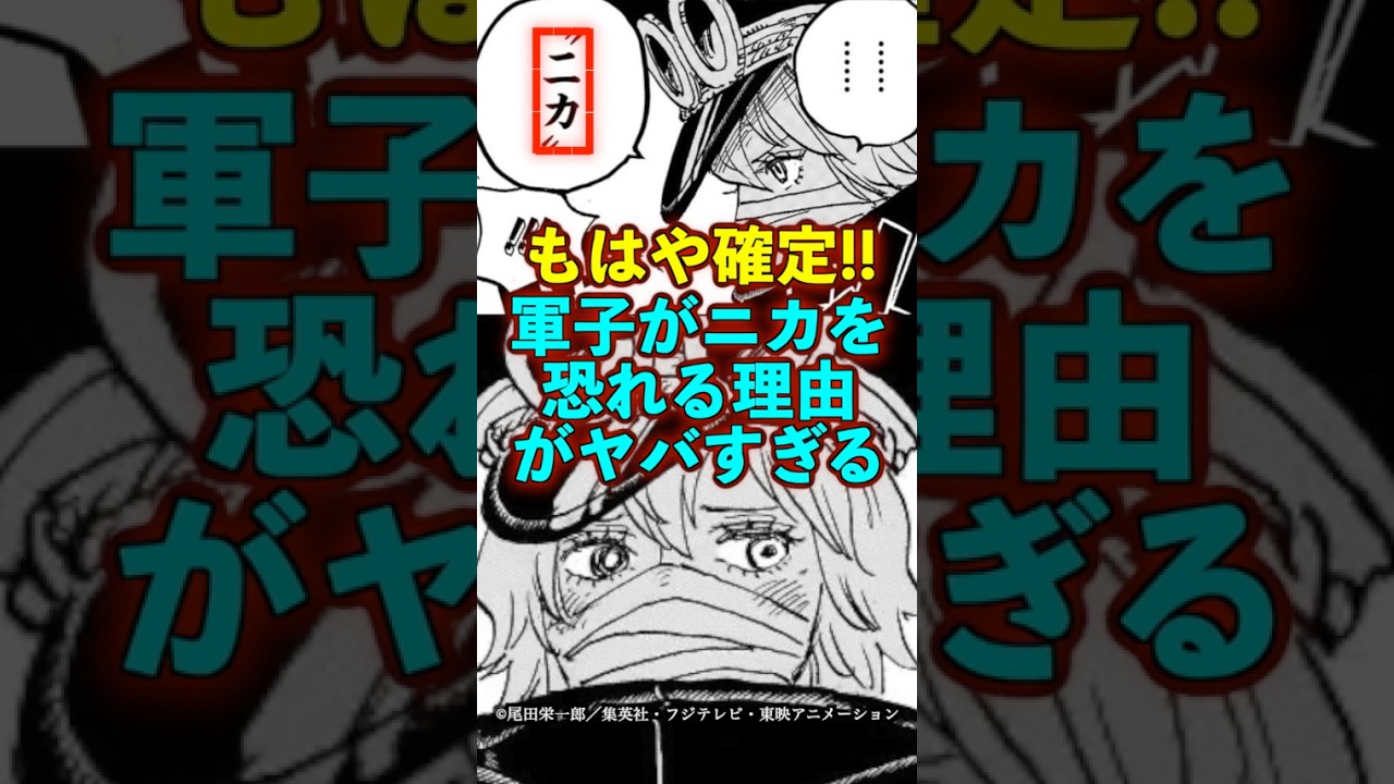 【ワンピース】軍子＝シュリ姫がニカを恐れる理由がヤバすぎ ※最新話ネタバレ注意 #ワンピース #onepiece #考察