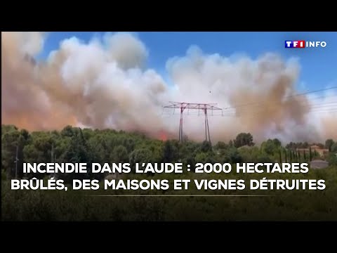 Incendie dans l'Aude : 2000 hectares brûlés, des maisons et vignes détruites