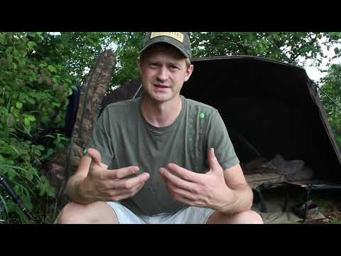 Karpfenangeln am Hausgewässer nach der Laichzeit