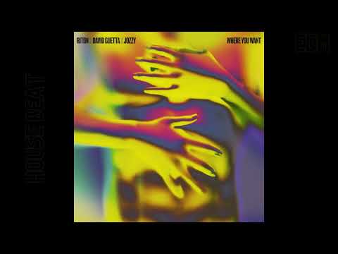 Riton x David Guetta x Jozzy – Where You Want  ( Extended Mix )