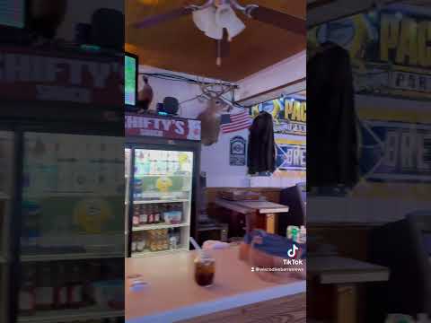 Shifty's Shack Video Review