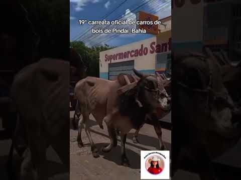 19° Carreata oficial de Pindaí -Bahia #Pretamoraisdivulgaçoes