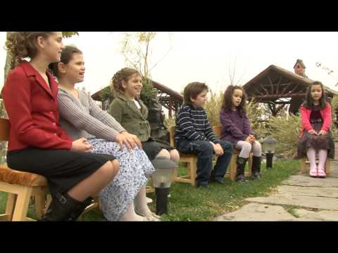 Zările albastre [musical]