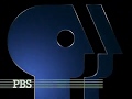 PBS 1989 1995 Logo Remake