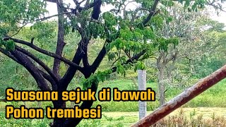 Download lagu ALBUM LAGU NOSTALGIA LEGENDARIS 90an - pop & slow rock Indonesia sepanjang masa  mp3