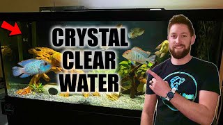 Crystal Clear Aquarium Water | Tips for Fixing a Cloudy Tank
