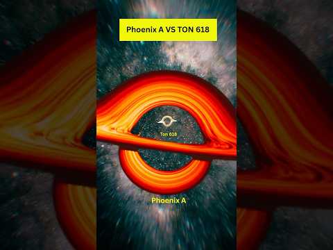 Phoenix a vs Ton 618 size comparison | Ton 618 vs Phoenix a #phoenixavston618