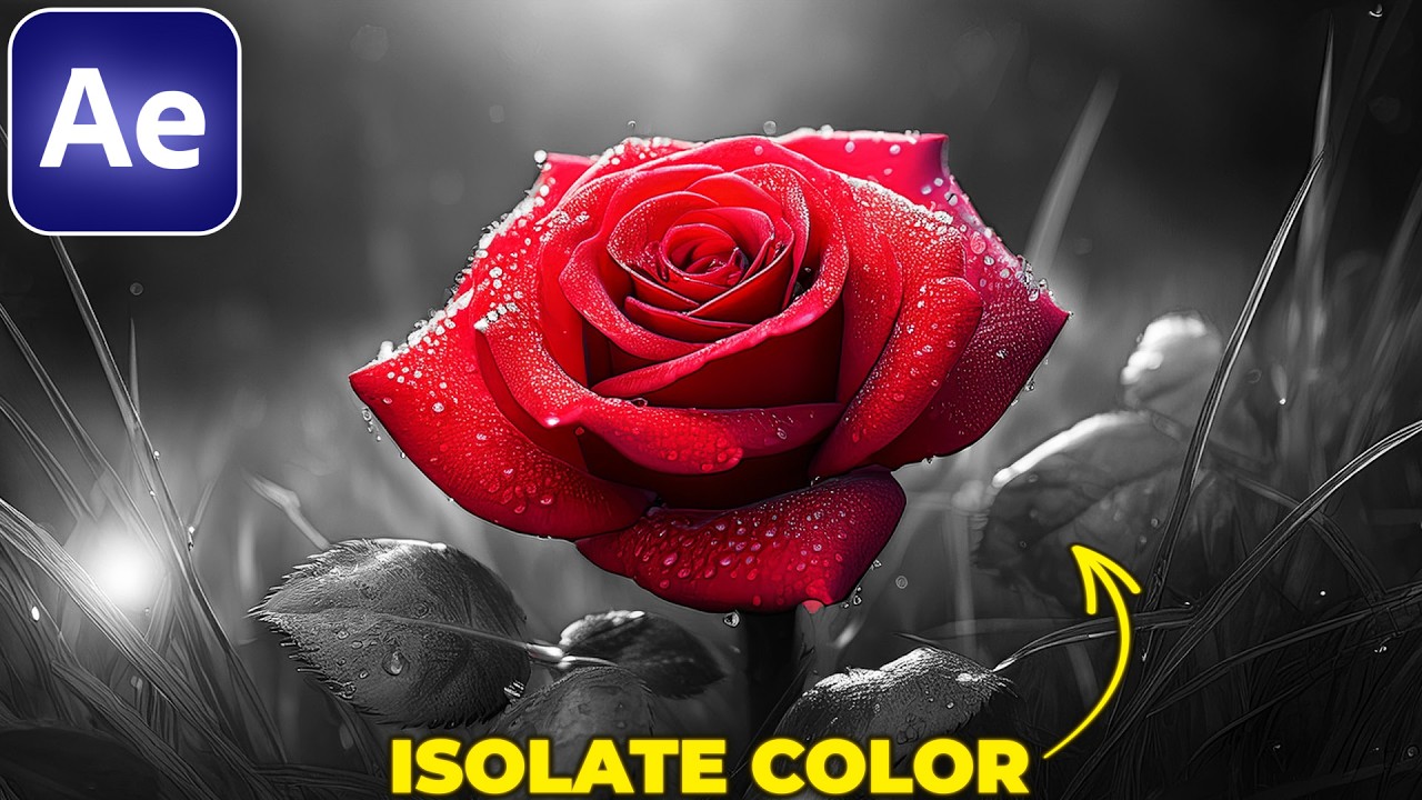 How to ISOLATE A COLOR in After Effects