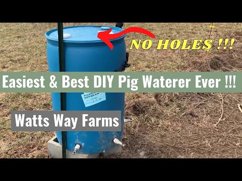 , title : 'Easiest DIY Pig Waterer Ever! | Don't cut holes in your barrels | Read Description Before Drilling!'