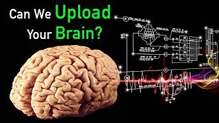 Uploading Your Mind Is 100 Percent Fatal
