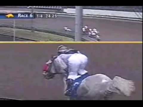 2008 Flying Tiger Classic - So Big Is Better