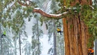 Chimera- Let me be around