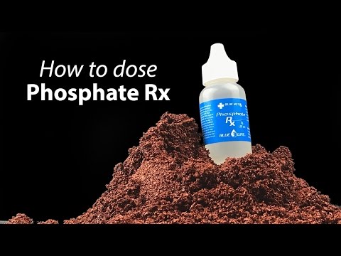 How to dose Phosphate Rx in your reef tank