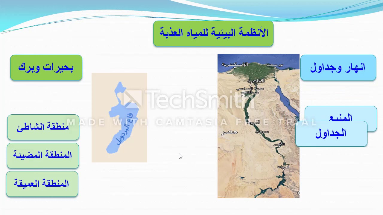 الأنظمة البيئية المائية