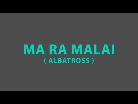 Ma ra malai - Albatross (LYRICS)