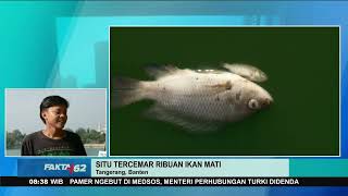 Download lagu Danau Situ Tercemar, Warga Tunggu Tindakan dari DLH Kota Tangerang mp3