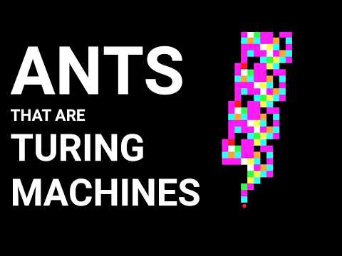 Ants that are Computers