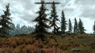 Weird Flying Sabertooth Tiger SKYRIM