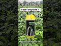Soyabean Best Fungicide Priaxor Custodia Amistar Top Swadhin Marivon