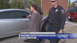 Pulaski drug raid