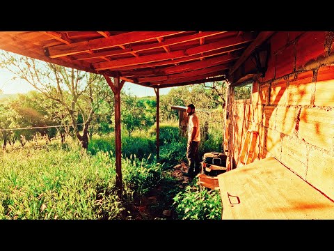 I Wish I Knew This Before Buying Land in Portugal - Offgrid Homestead in Central Portugal