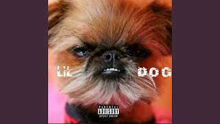 Lil Dog (No Hook) Music Video
