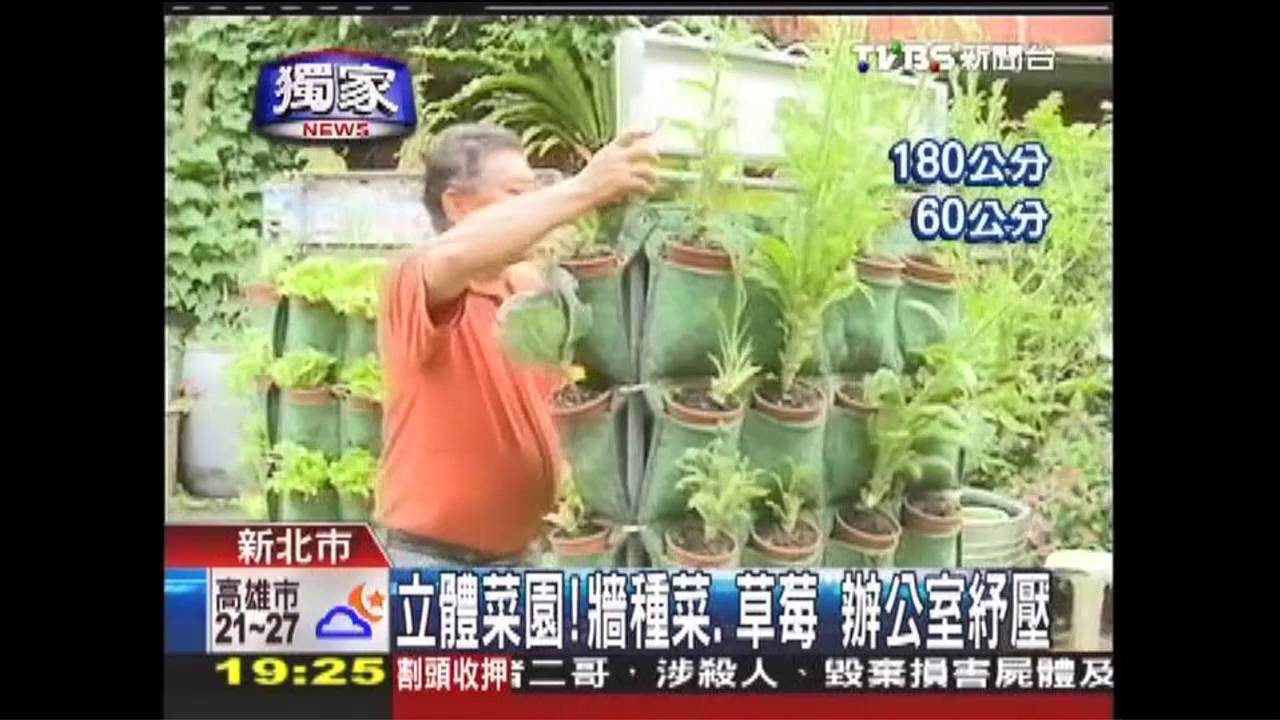 〈獨家〉立體菜園！牆種菜、草莓　辦公室紓壓