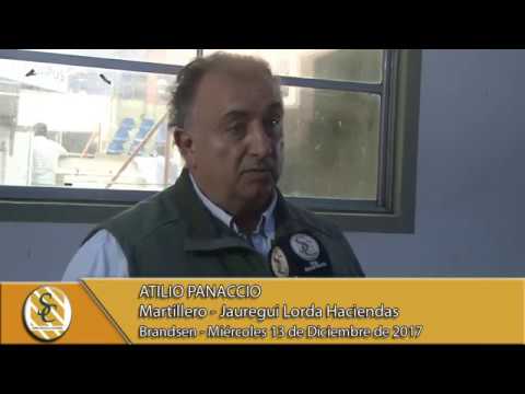 13-12-17 Nota Atilio Panaccio - Jauregui Lorda Haciendas - Brandsen