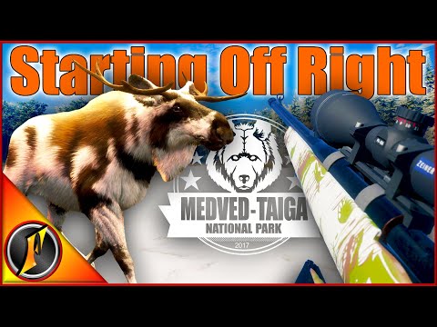 Starting Our Moose Grind Off Right! | Piebald Bull Moose!